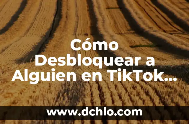 Cómo Descargar Fotos de TikTok sin Marca de Agua de Forma Gratuita y Fácil 4 Cómo Desbloquear a Alguien en TikTok – Guía Definitiva