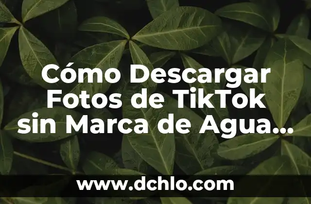 Cómo Crear una Cuenta de TikTok de Forma Fácil y Rápida 4 Cómo Descargar Fotos de TikTok sin Marca de Agua de Forma Gratuita y Fácil