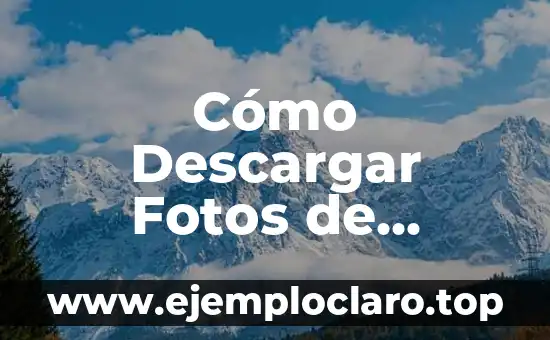 Cómo Descargar Fotos de TikTok sin Marca de Agua de Forma Gratuita y Fácil