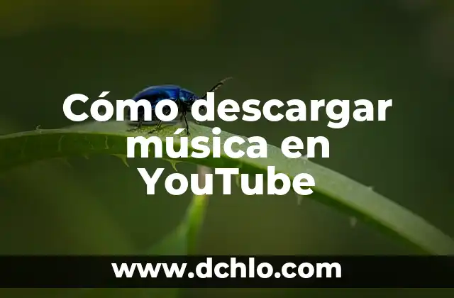 Como hacer radio en YouTube 4 Cómo descargar música en YouTube