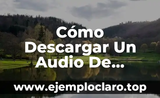Cómo Hacer una Transmisión de Audio en Facebook 8 Cómo Descargar Un Audio De YouTube Gratis y Seguro