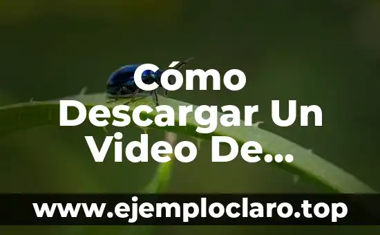 Cómo Descargar Un Video De YouTube En El Ordenador (Descarga Videos De YouTube En PC)