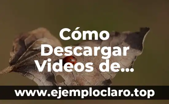 Cómo Descargar Videos de YouTube al Ordenador de Forma Segura y Gratuita