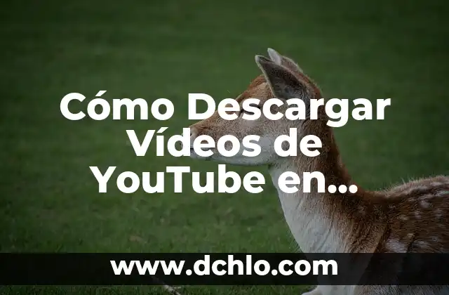 YouTube Videos Sobre el Significado de los Sueños 4 Cómo Descargar Vídeos de YouTube en Android – Guía Completa