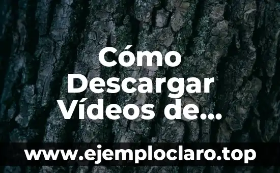 Cómo Descargar Vídeos de YouTube en el Móvil