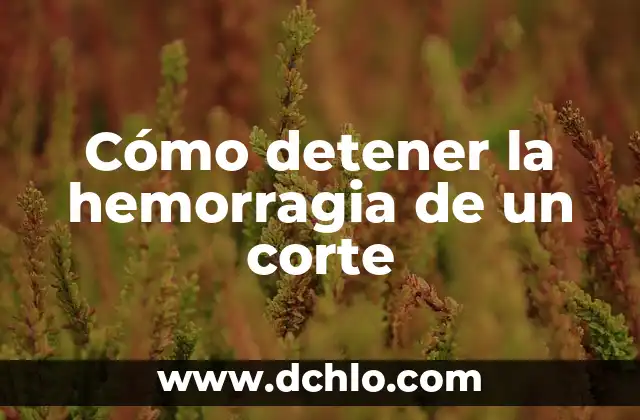 Comprar iPhone 12 128GB en El Corte Inglés: Todo lo que Necesitas Saber 4 Cómo detener la hemorragia de un corte