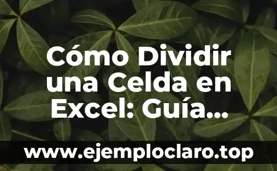 Cómo Dividir una Celda en Excel: Guía Detallada y Completa