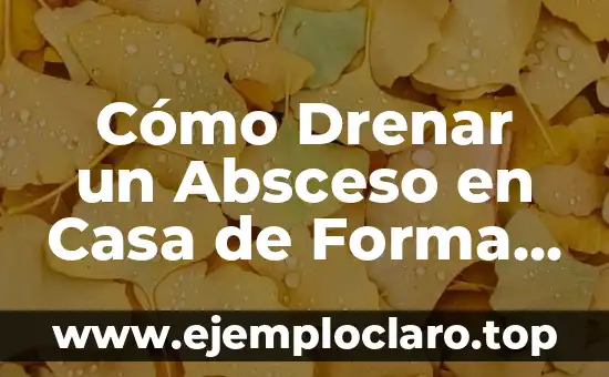 Cómo Drenar un Absceso en Casa de Forma Segura y Eficaz