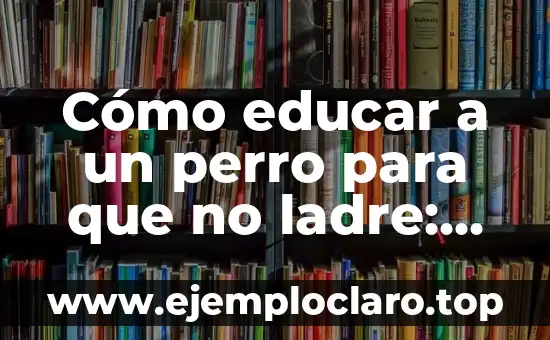 Perro Ayuda a su Dueña con Taquicardia: Una Historia de Amor y Lealtad 4 Cómo educar a un perro para que no ladre: Guía completa y efectiva