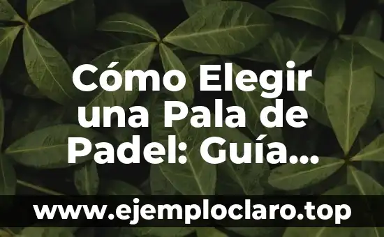 Cómo Elegir una Pala de Padel: Guía Completa para Principiantes y Experimentados