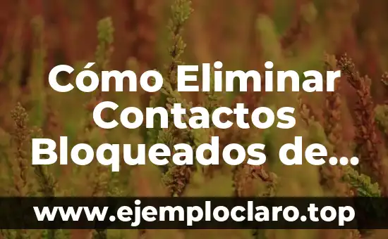 Cómo Eliminar Contactos Bloqueados de WhatsApp de Forma Permanente