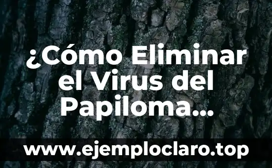 ¿El virus del papiloma humano tiene cura? Descubre la verdad 8 ¿Cómo Eliminar el Virus del Papiloma Humano del Cuerpo? – Guía Completa y Actualizada