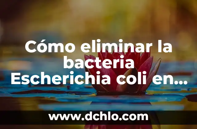 Cómo Hacer una Dieta para Perder Peso de Forma Segura y Efectiva 5 Cómo eliminar la bacteria Escherichia coli en la orina de manera efectiva