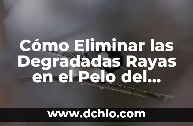 Embarazo Natural a los 47 Años es Posible: Guía Completa y Actualizada 5 Cómo Eliminar las Degradadas Rayas en el Pelo del Hombre: Guía Completa