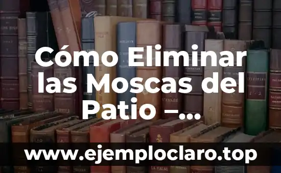 Cómo Eliminar las Moscas del Patio – Soluciones Eficientes