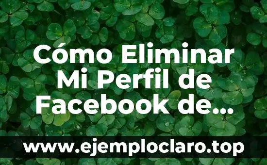 Cómo cambiar mi nombre en Instagram: Guía definitiva para personalizar tu perfil 6 Cómo Eliminar Mi Perfil de Facebook de Forma Permanente