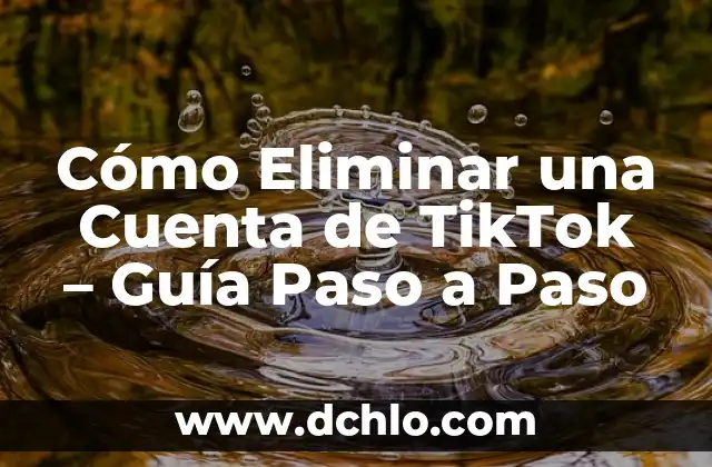 Cómo Descargar Fotos de TikTok sin Marca de Agua de Forma Gratuita y Fácil 7 Cómo Eliminar una Cuenta de TikTok – Guía Paso a Paso