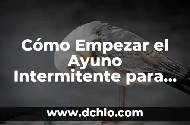 Cómo Hacer Ayuno Intermitente para Bajar de Peso de Forma Segura y Efectiva 3 Cómo Empezar el Ayuno Intermitente para Bajar de Peso: Guía Definitiva