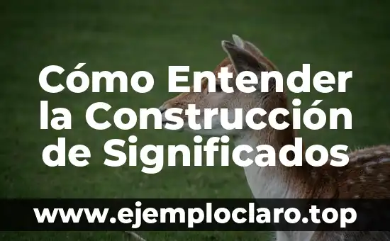 Empavonados - El Arte de la Construcción de Pavimentos 7 Cómo Entender la Construcción de Significados