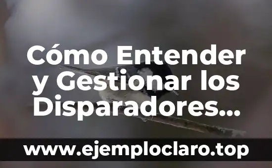 Cómo Entender y Gestionar los Disparadores en Diferentes Contextos