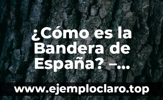 ¿Cómo es la Bandera de España? - Historia, Diseño y Simbolismo