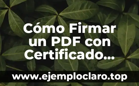 Cómo Firmar con Certificado Digital un PDF de Forma Segura y Fácil 7 Cómo Firmar un PDF con Certificado Digital sin Adobe Acrobat