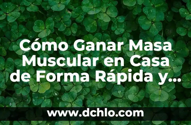 El Concepto Fundamental de la Masa Molar en Química 5 Cómo Ganar Masa Muscular en Casa de Forma Rápida y Segura