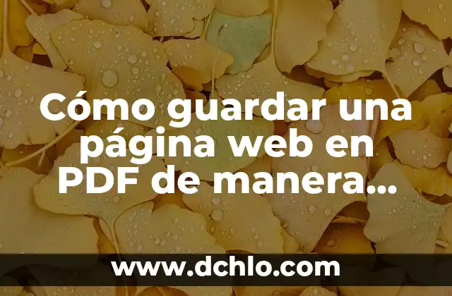 Cómo hacer una auditoría de una página web 5 Cómo guardar una página web en PDF de manera sencilla y eficiente