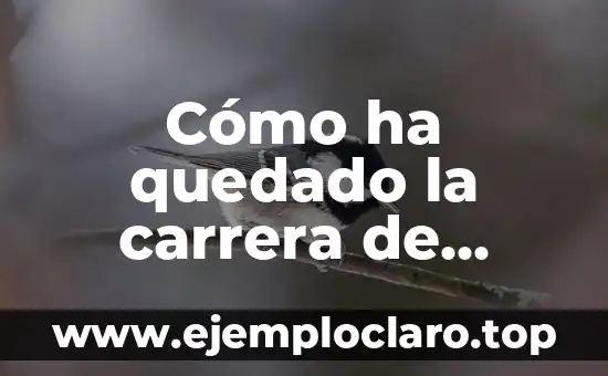 Cómo ha quedado la carrera de MotoGP: Una visión general del campeonato