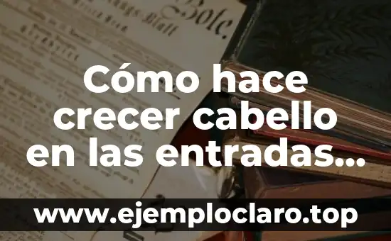 Cómo Hacer Entradas para Horas de Almuerzo Platos de Comida 4 Cómo hace crecer cabello en las entradas de la frente