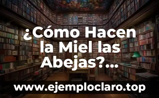 Cuánto tarda un cuerpo en descomponerse en un ataúd: La verdad sobre el proceso de descomposición 8 ¿Cómo Hacen la Miel las Abejas? Proceso de Producción de Miel