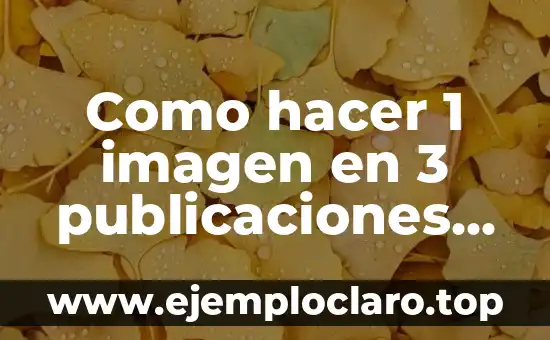Como hacer 1 imagen en 3 publicaciones en Instagram