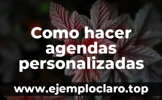 Como hacer agendas personalizadas