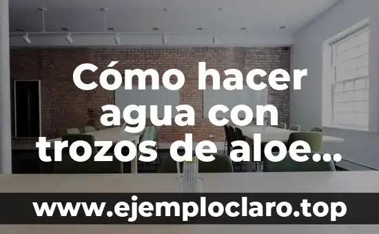 Cómo hacer agua con trozos de aloe vera