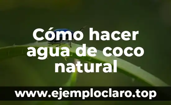 Cómo hacer agua de coco natural