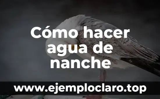 Cómo hacer agua de nanche