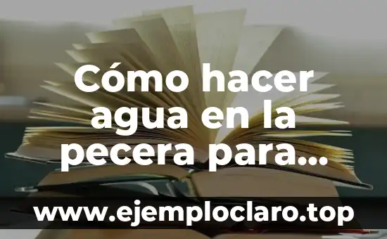 Cómo hacer agua en la pecera para maquetas con gel