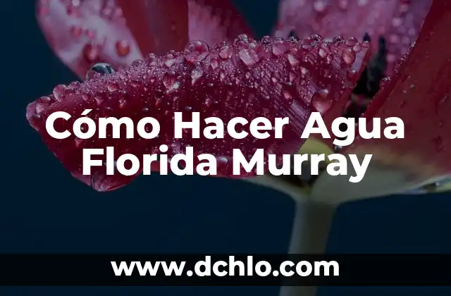 Como hacer cobertores de garrafón de agua 8 Cómo Hacer Agua Florida Murray