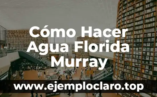 Cómo hacer un filtro para agua de lluvia 8 Cómo Hacer Agua Florida Murray