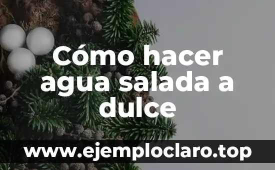 Cómo hacer agua salada a dulce
