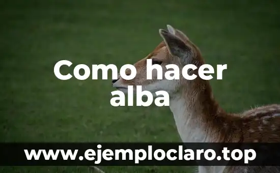 Cómo hacer cadenas para tejer 4 Como hacer alba