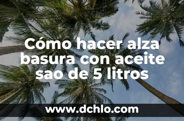 Como hacer pepita 5 Cómo hacer alza basura con aceite sao de 5 litros