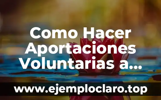Como Hacer Aportaciones Voluntarias a Infonavit