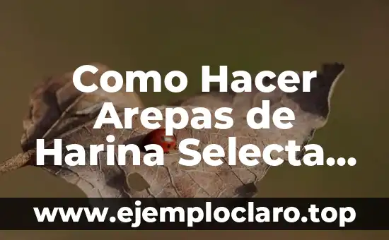 Como Hacer Arepas de Harina Selecta Paso a Paso