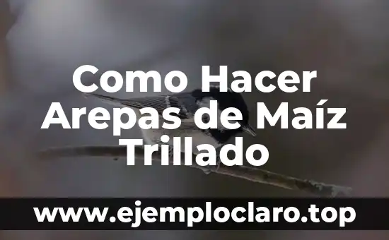 Como Hacer Arepas de Maíz Trillado