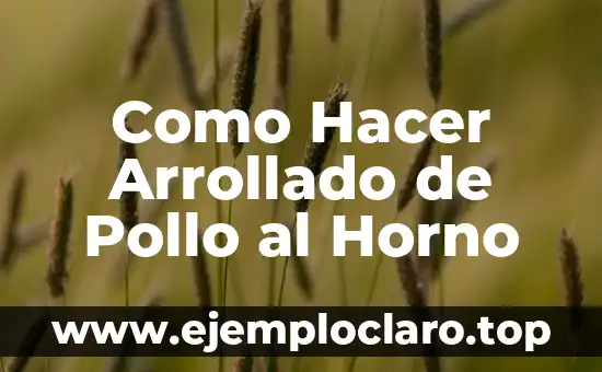 Como Hacer Arrollado de Pollo al Horno