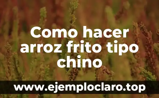 Como hacer arroz frito tipo chino