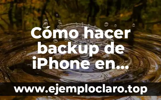 Cómo hacer backup de iPhone en disco externo