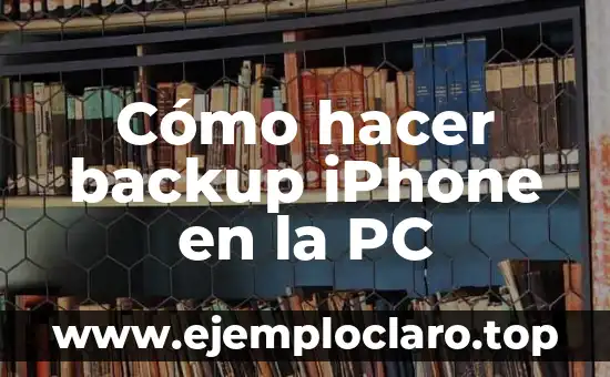 Cómo hacer backup iPhone en la PC