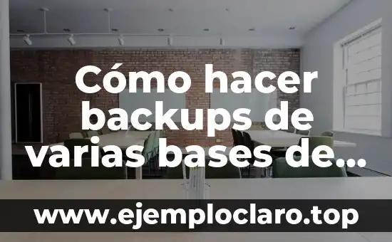 El significado del DNI en las bases de datos 6 Cómo hacer backups de varias bases de datos PostgreSQL